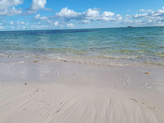 Гостиница Ника Анапа-66